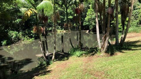 Anandaland: Land of Bliss