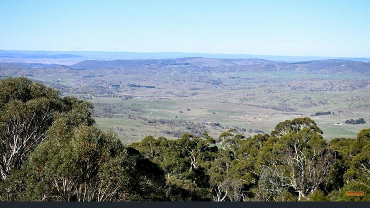 Alpine Bushland Camp