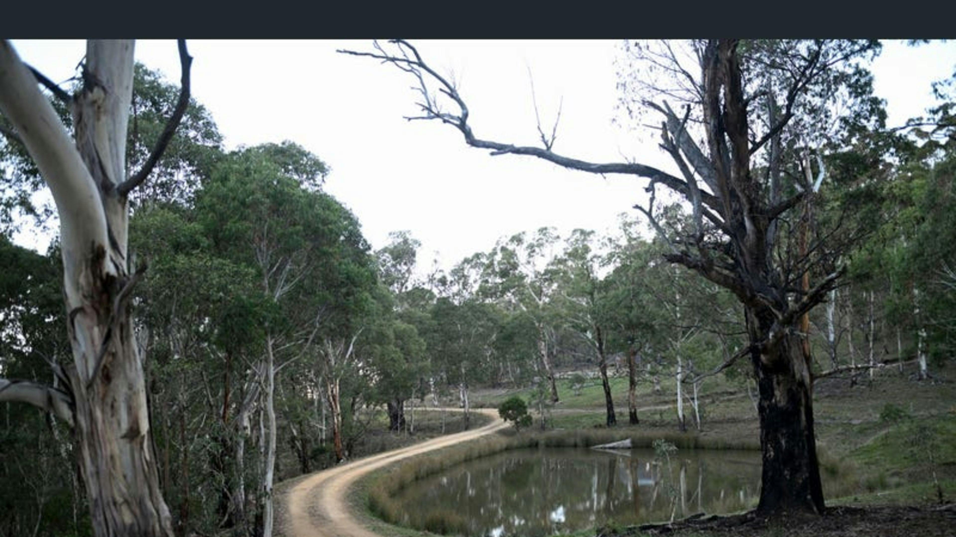 Alpine Bushland Camp
