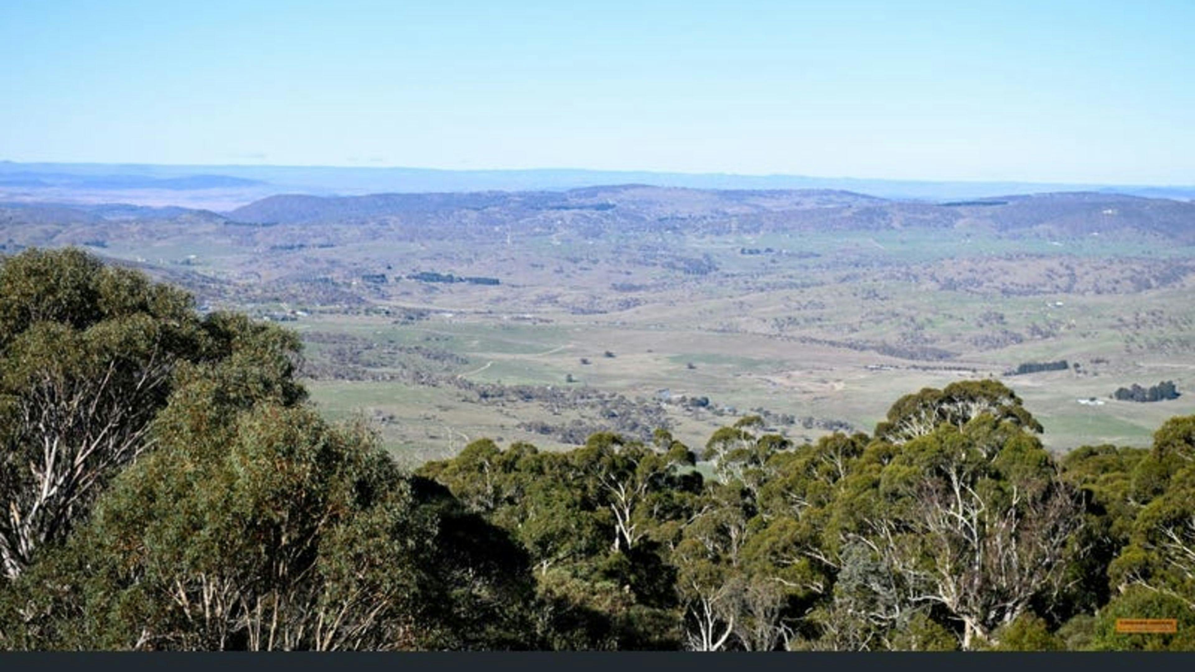 Alpine Bushland Camp