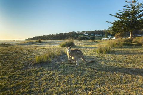 Dalmeny to Potato Point via Lake Brou