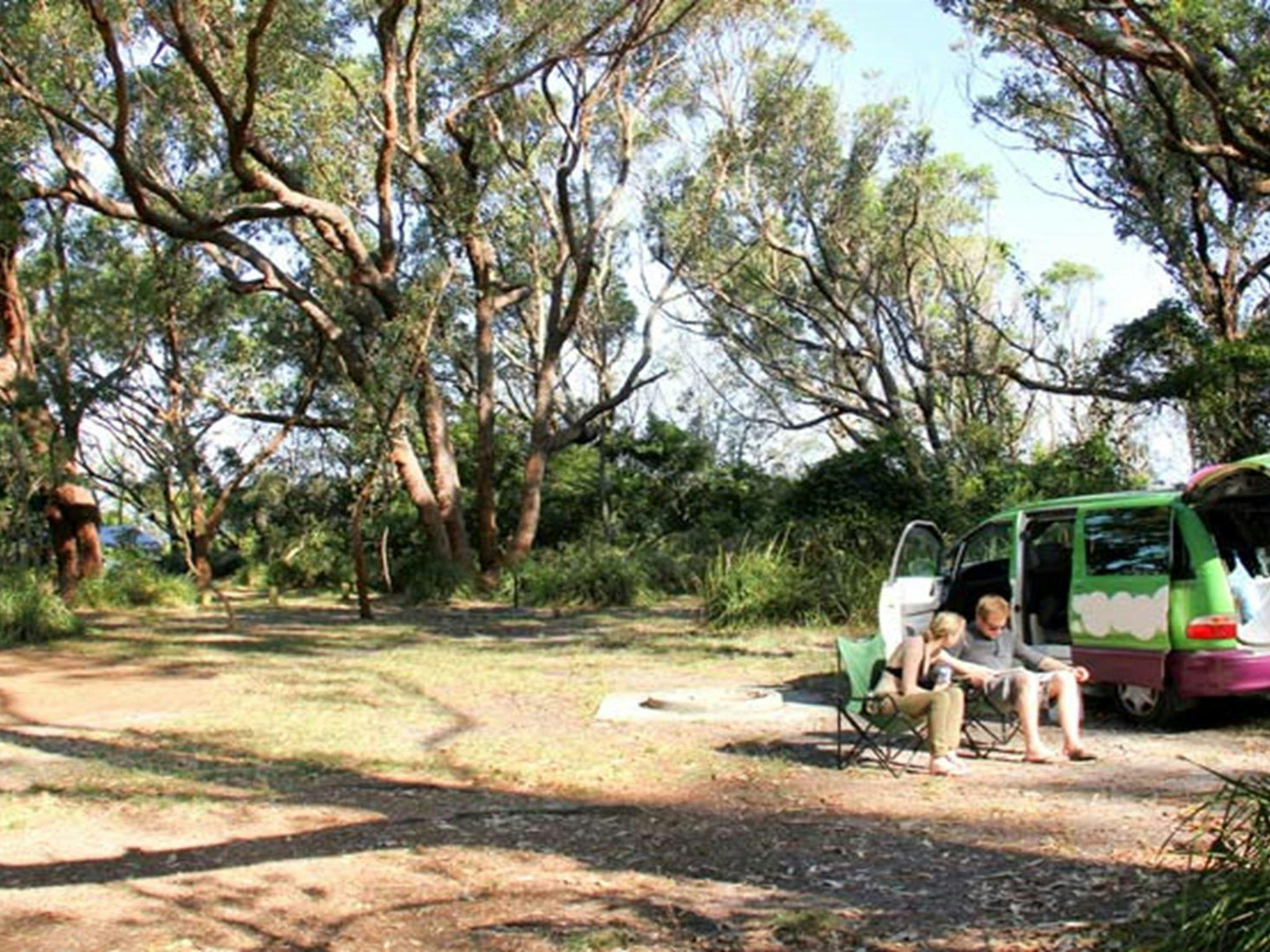 Aragunnu campground. Photo: John Yurasek Copyright: NSW Government