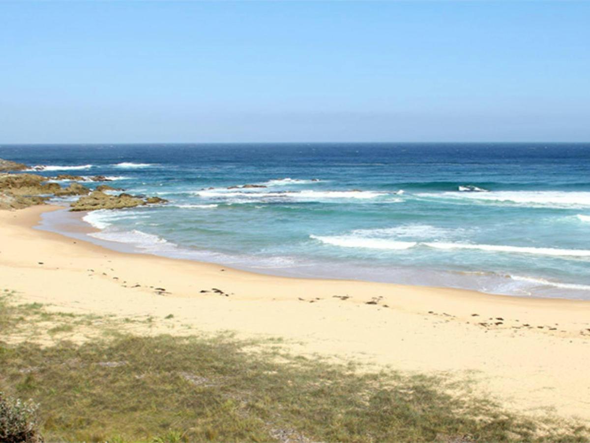 Aragunnu Beach, Mimosa Rocks National Park. Photo: John Yurasek/NSW Government