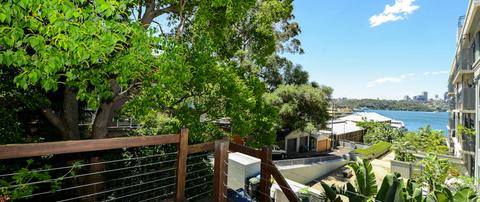 An Oasis In The City