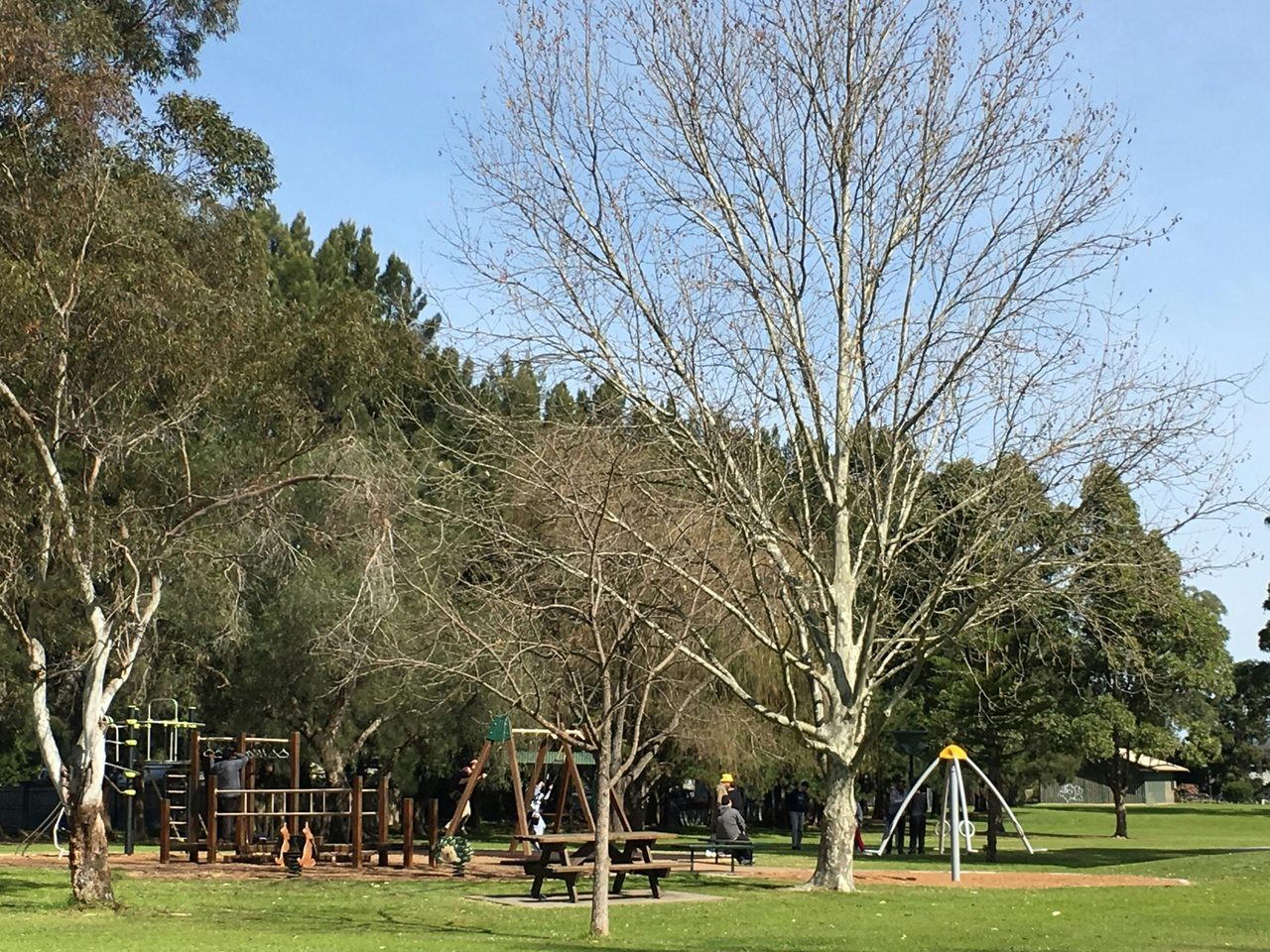 Curry Reserve