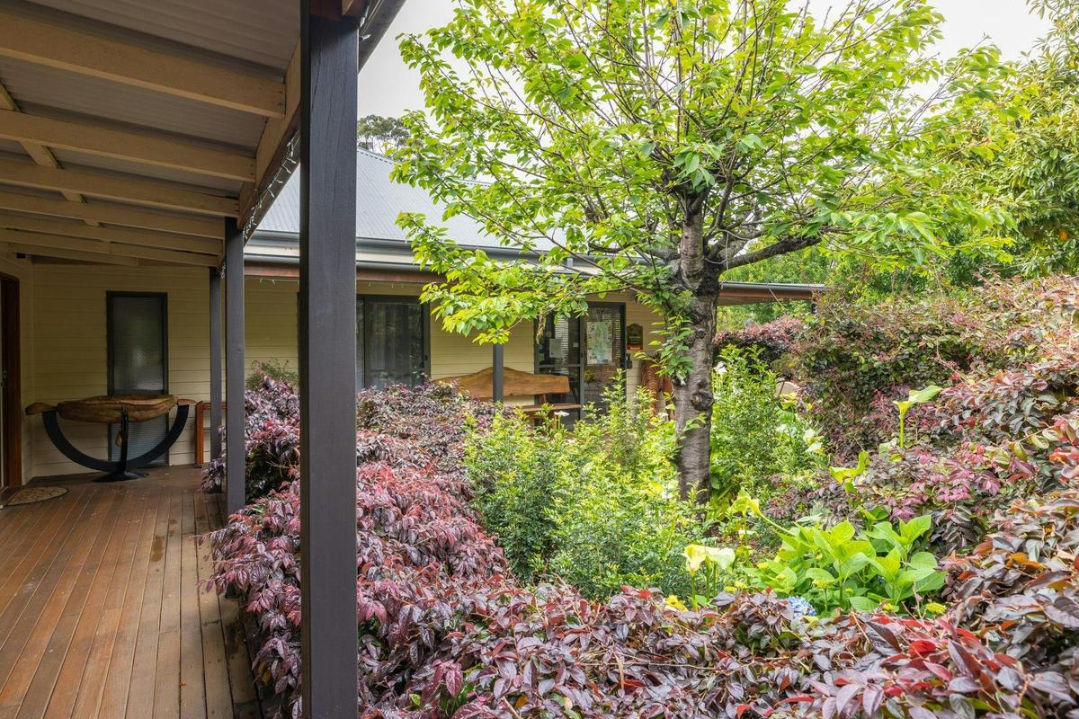Queen Studios deck area and garden