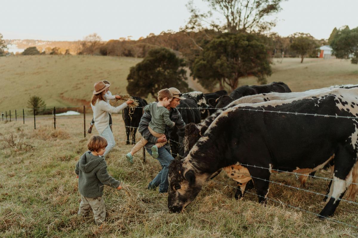 Guests enjoying feeding the cows