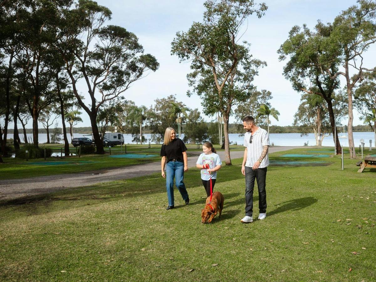 Dog friendly park