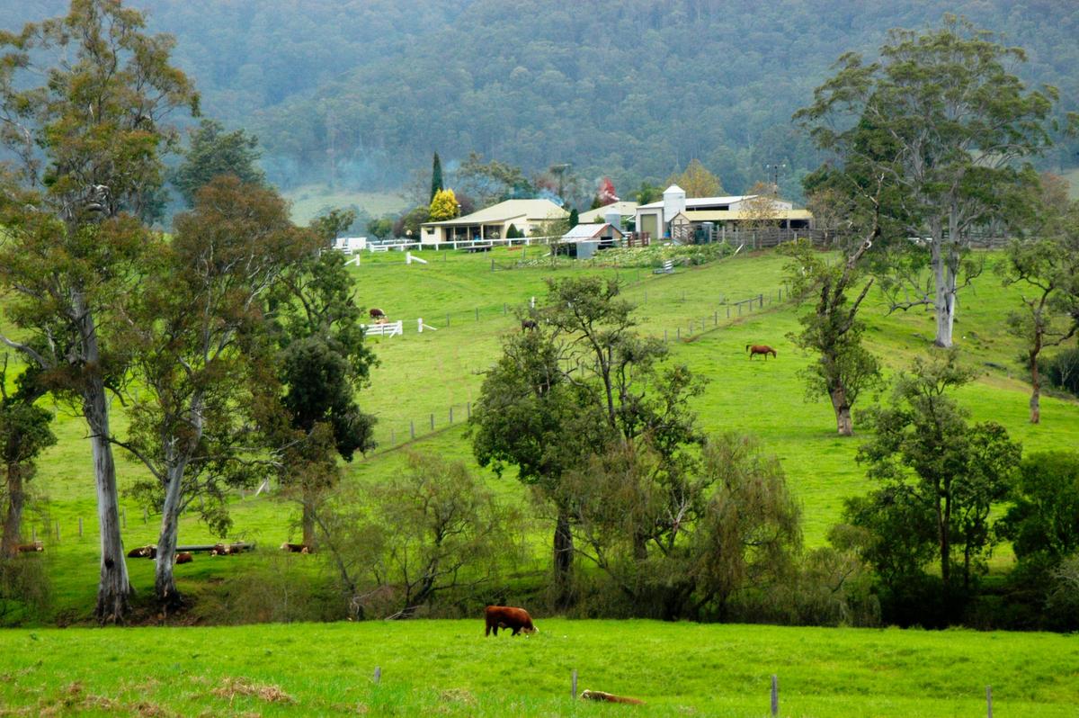 This  photo is taken from the back country looking back to the farmstay cottage o the