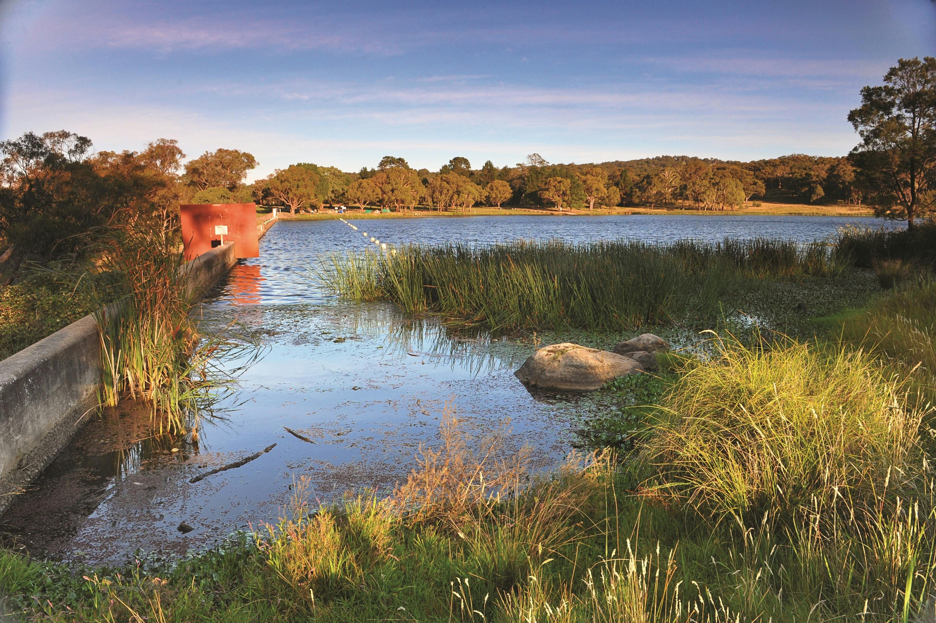 Dumaresq Dam
