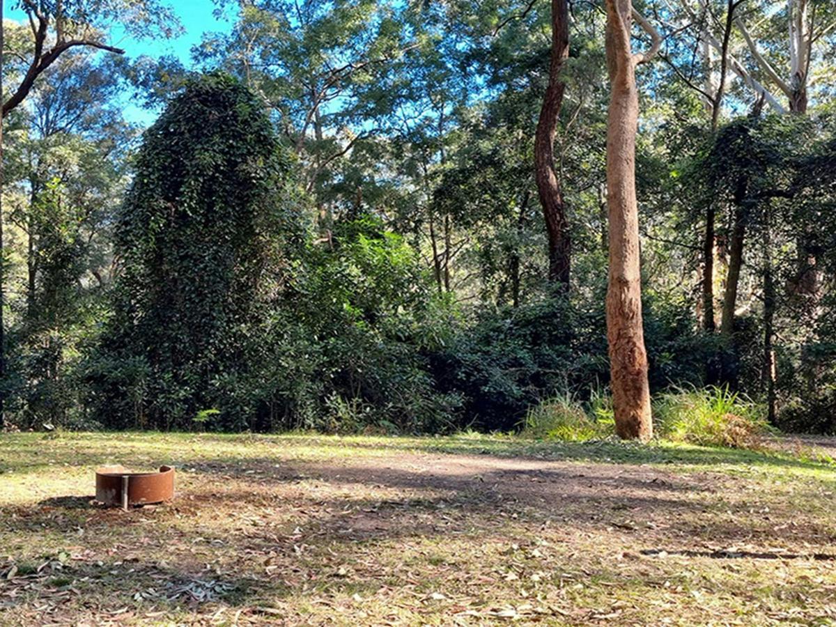Site number 4 at Bangalow campground. Photo: Elise McCarthy &copy; DCCEEW