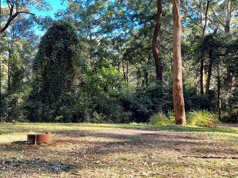 Bangalow campground