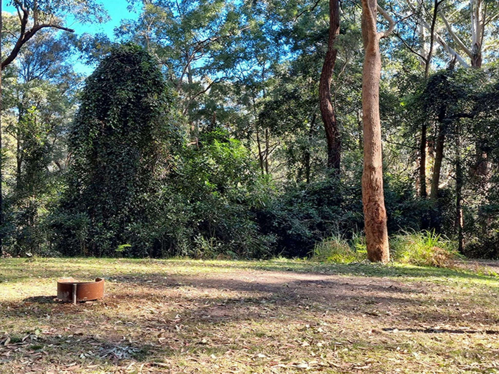 Site number 4 at Bangalow campground. Photo: Elise McCarthy &copy; DCCEEW