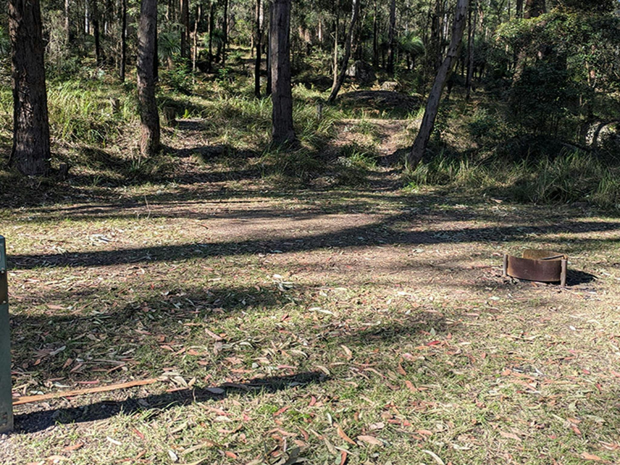 Site number 3 at Bangalow campground. Photo: Elise McCarthy &copy; DCCEEW