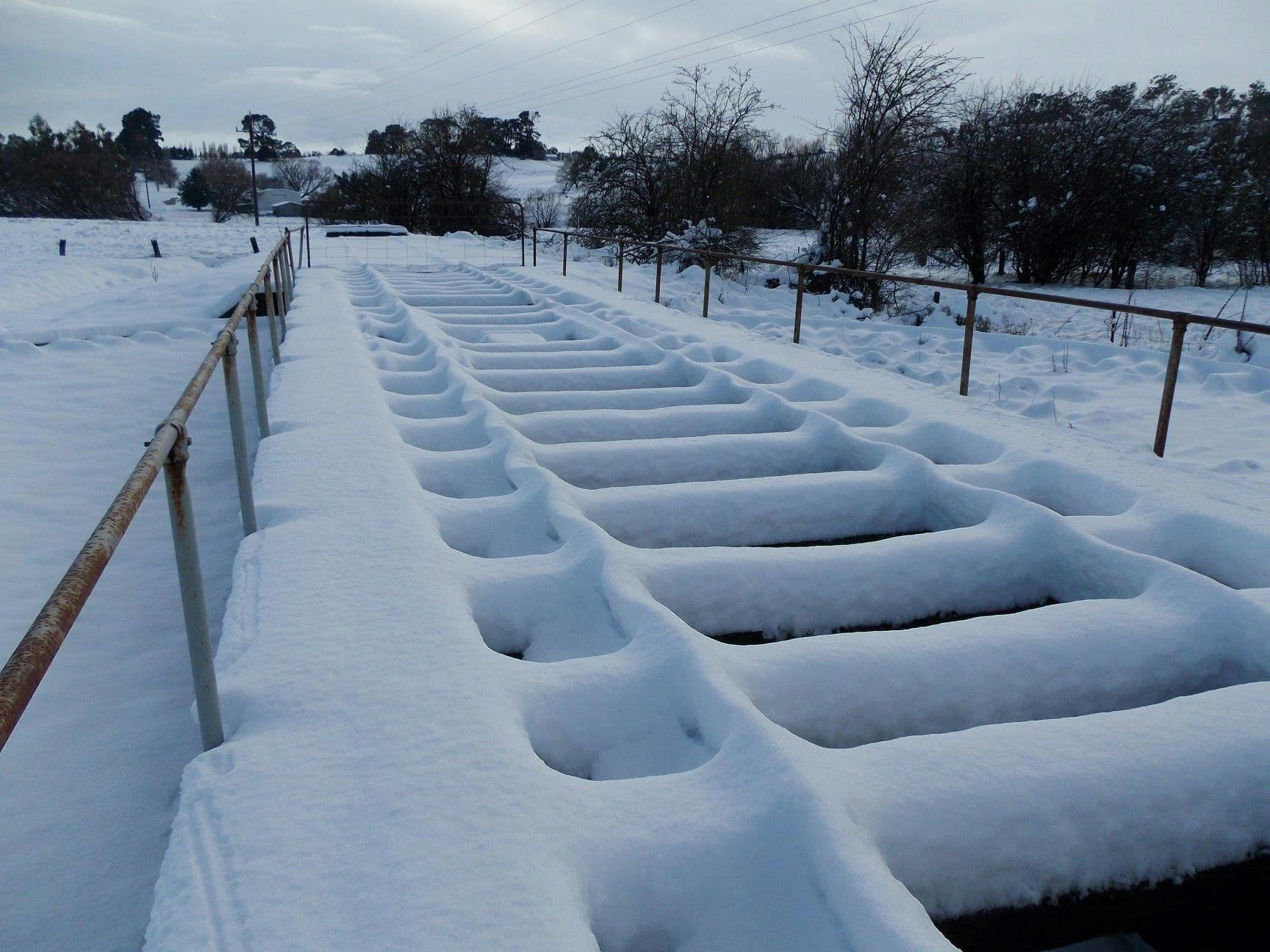 Railway Lines In The Snow