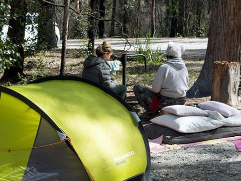 Bald Rock campground and picnic area