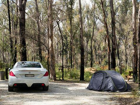 A car parked next to a pitched tent with bush in the background at Bald Rock campground and picnic