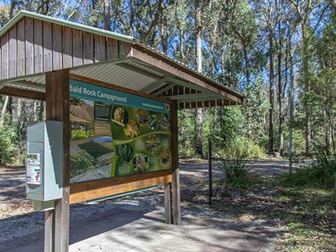 Bald Rock campground and picnic area