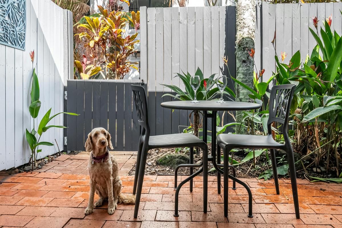 King Studio - Pet Friendly