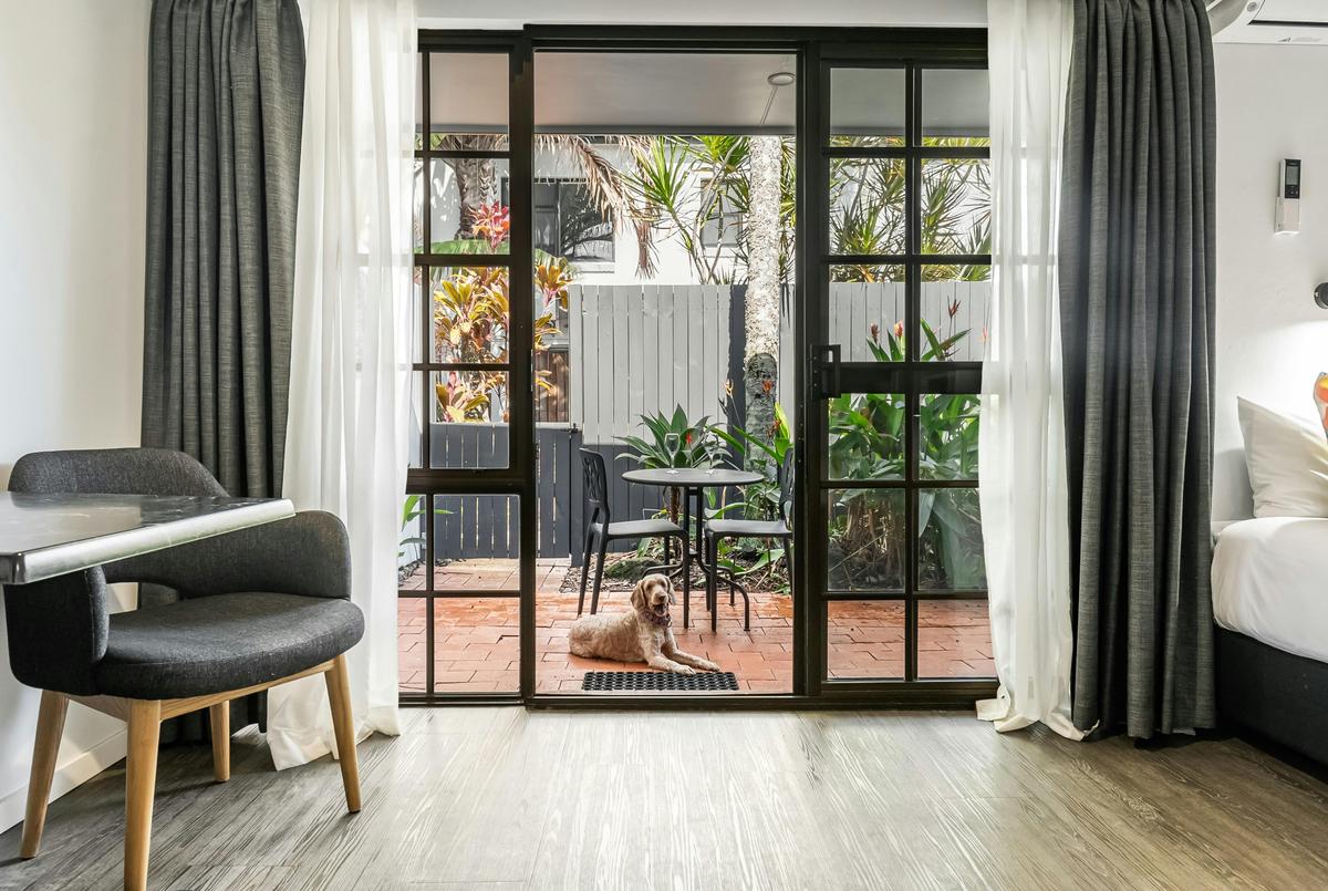 King Studio - Pet Friendly