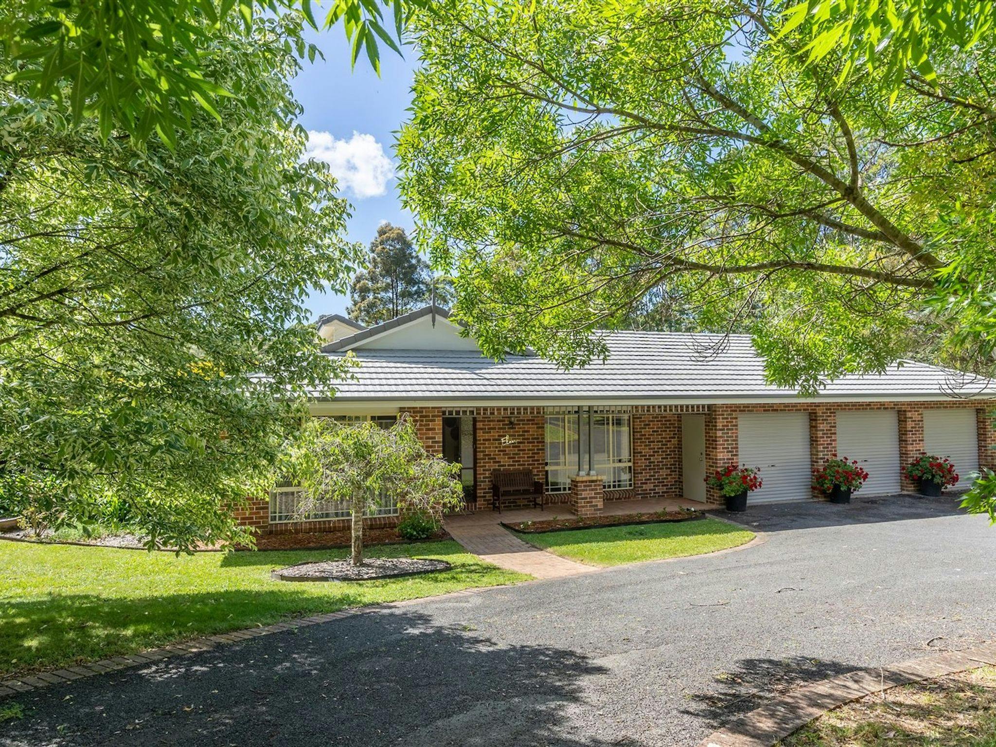 Banksia - Tapitallee