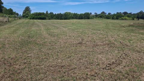 Ayr Farm Riverside Camp