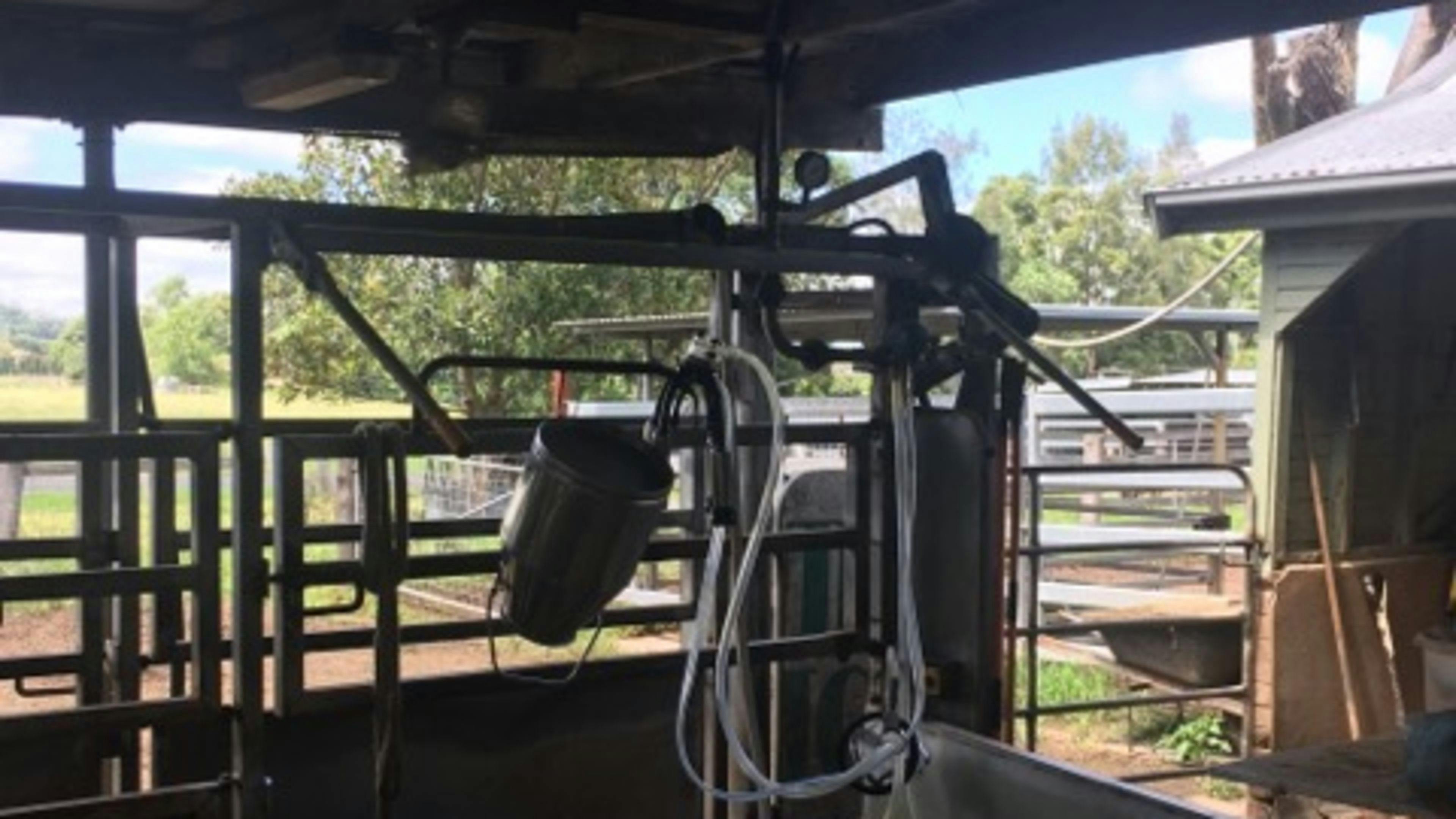 Ayr Farm Riverside Camp