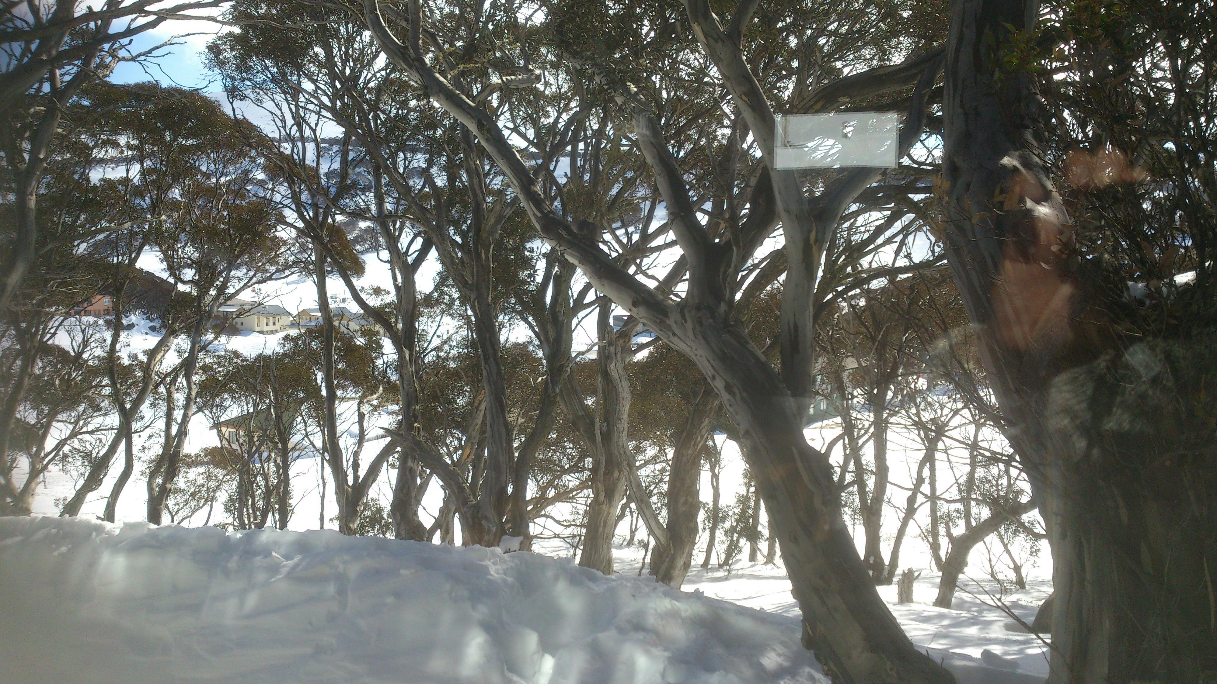 View from the lounge