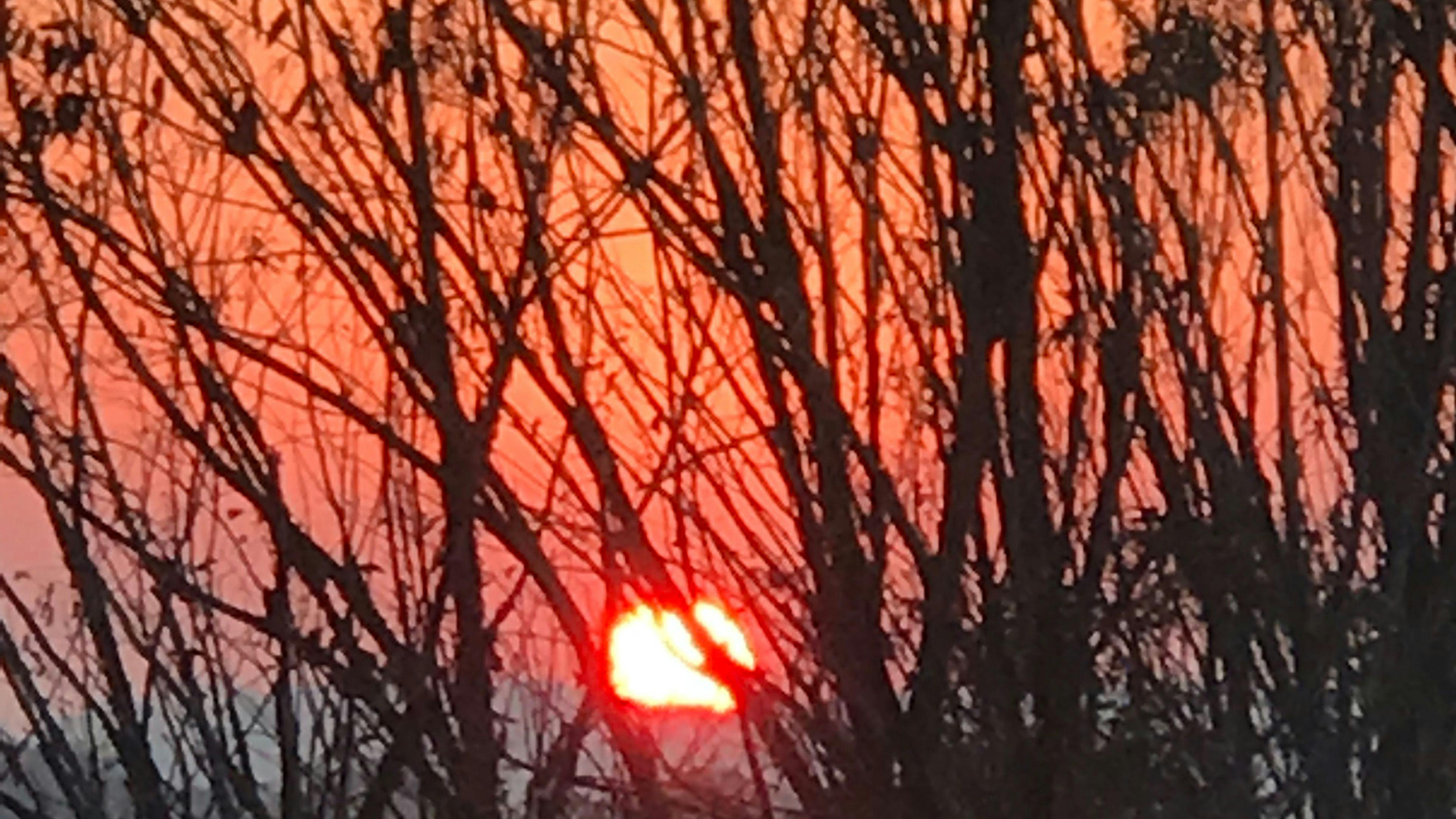 Back to Nature Bush Camping