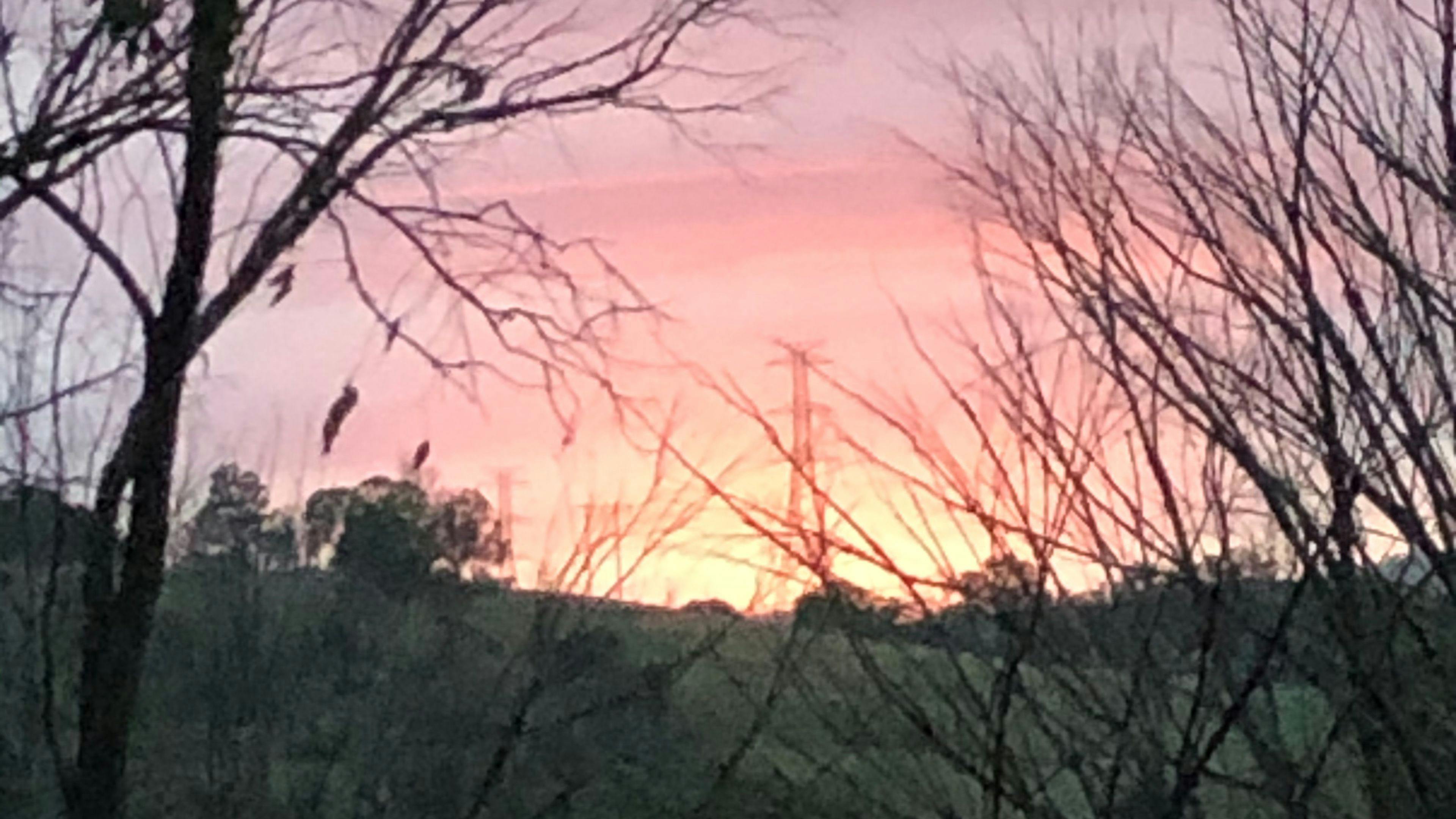 Back to Nature Bush Camping