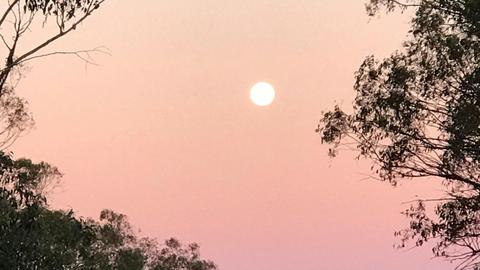 Back to Nature Bush Camping