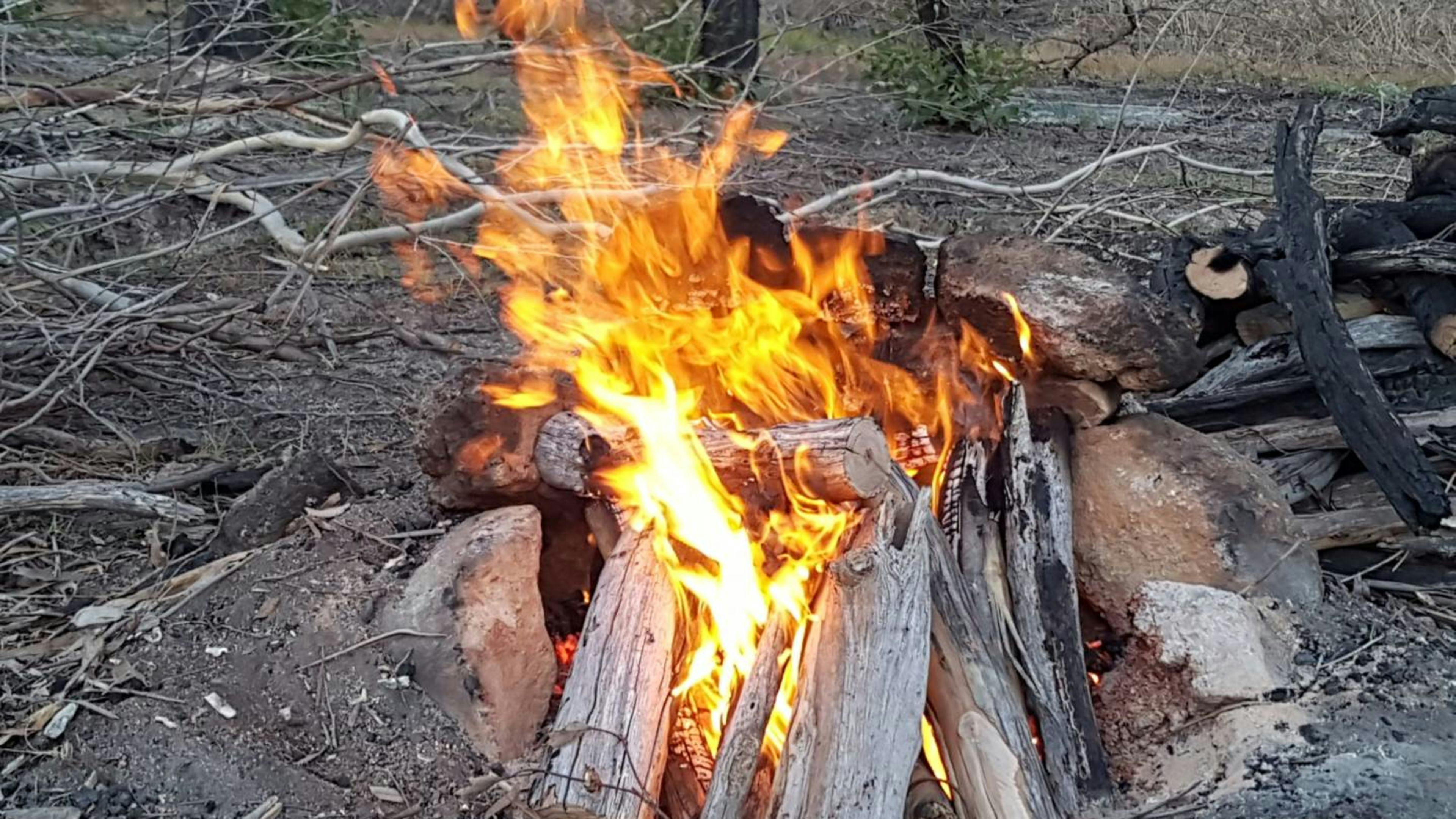 Marshmallows anyone??