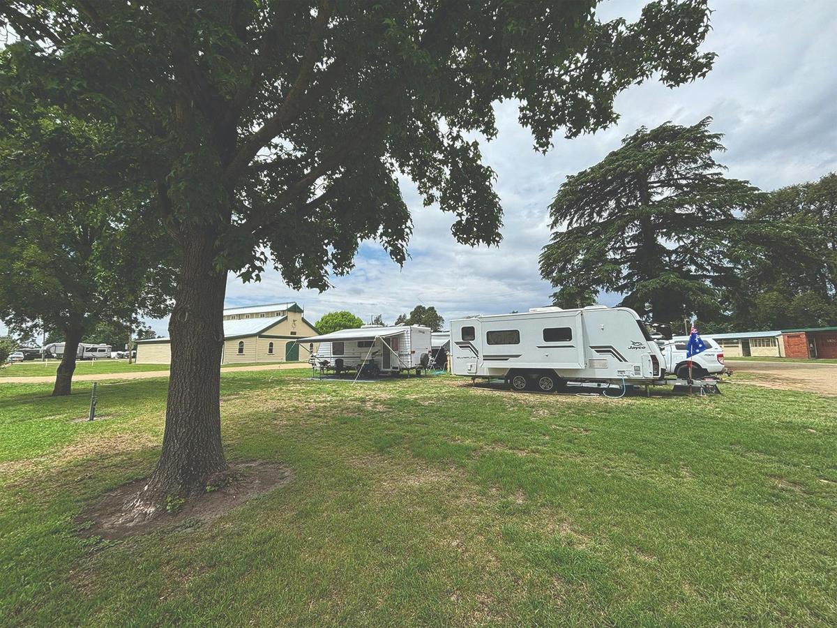 Bathurst Showground