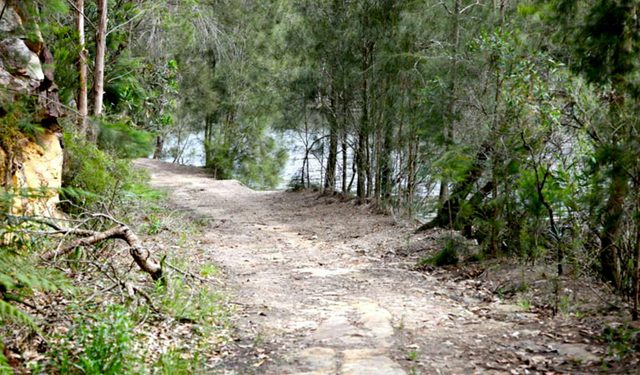 Davidson Park to Stepping Stone Crossing Walk
