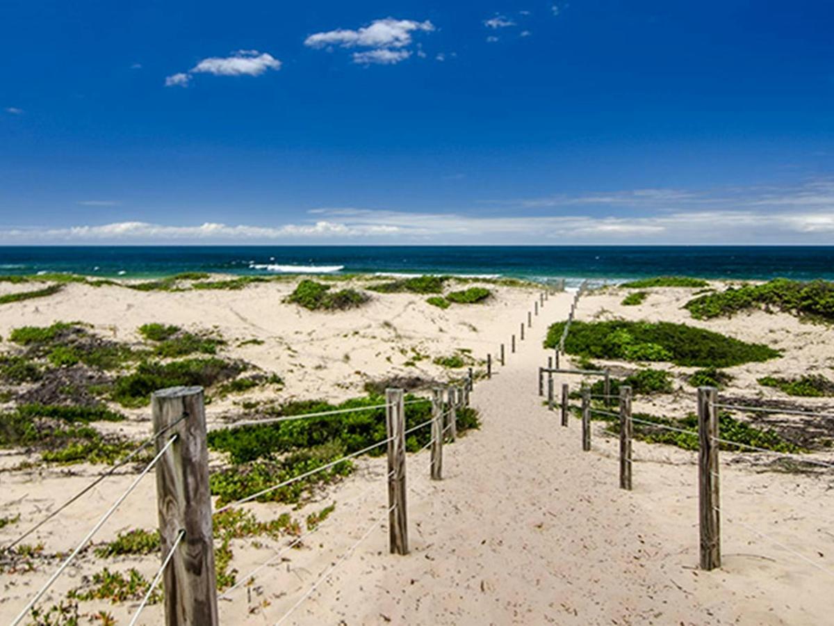 Banksia Green campground, Myall Lakes National Park. Photo: John Spencer/NSW Government