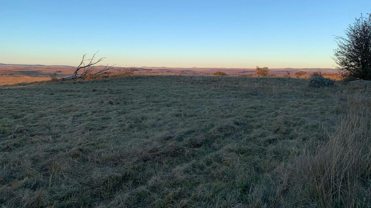Belaxed Farm