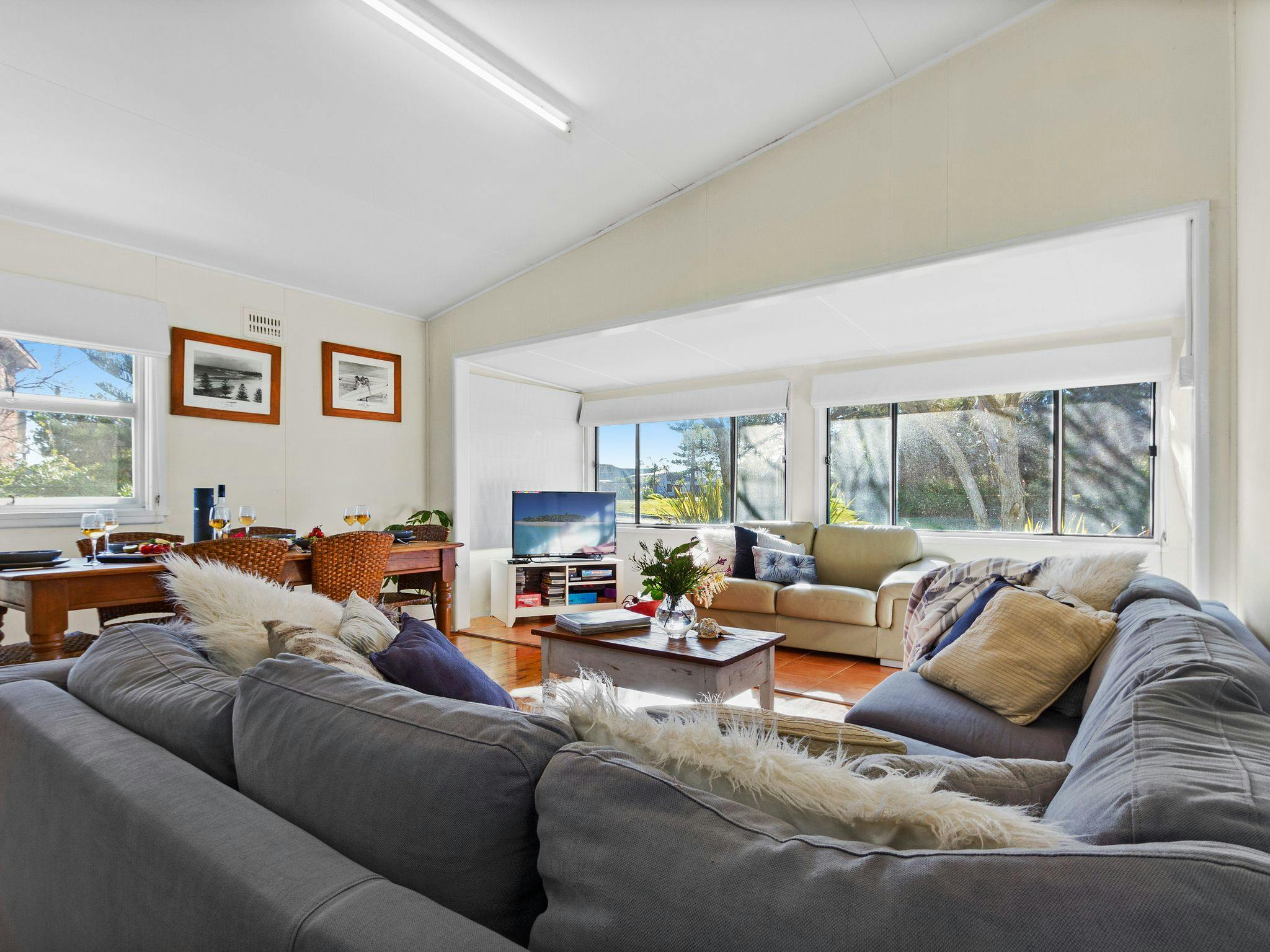 DVD Player, Television