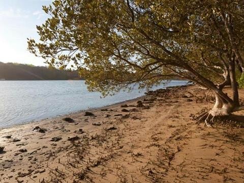 Beach campground
