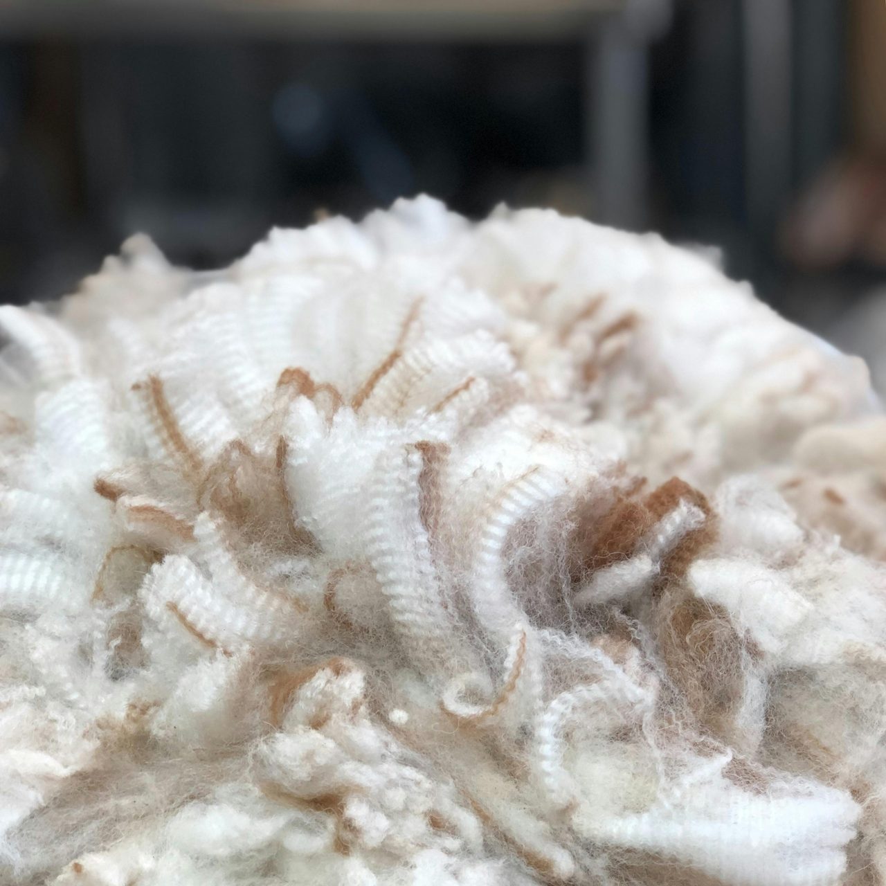 Fleece image