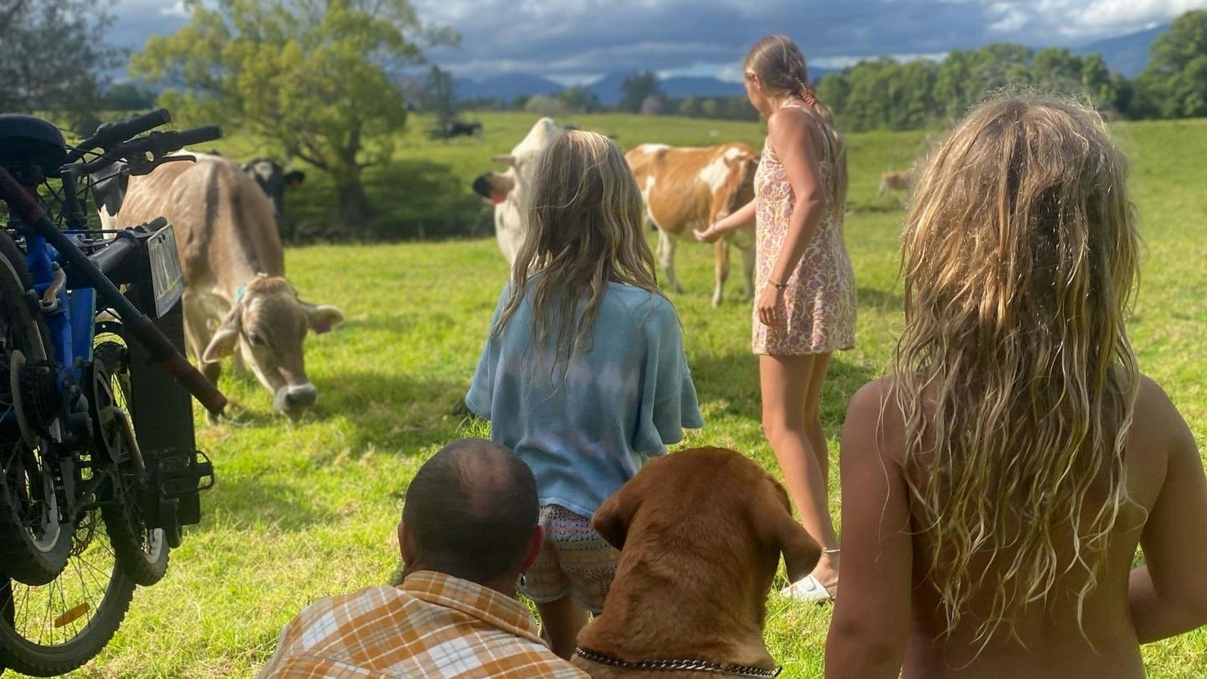 Bellinger River Camping