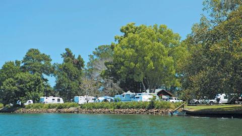 Bellinger River Tourist Park