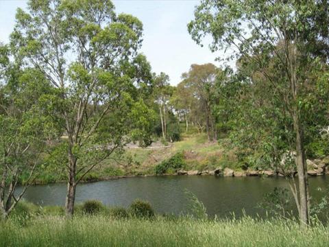 Berrima River Reserve Camping