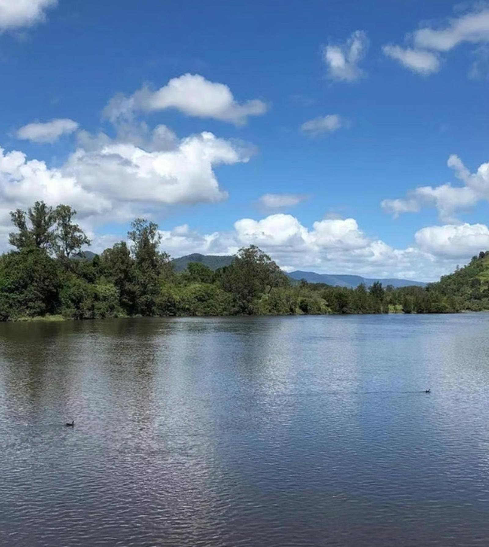 Bellmeadow Homestead