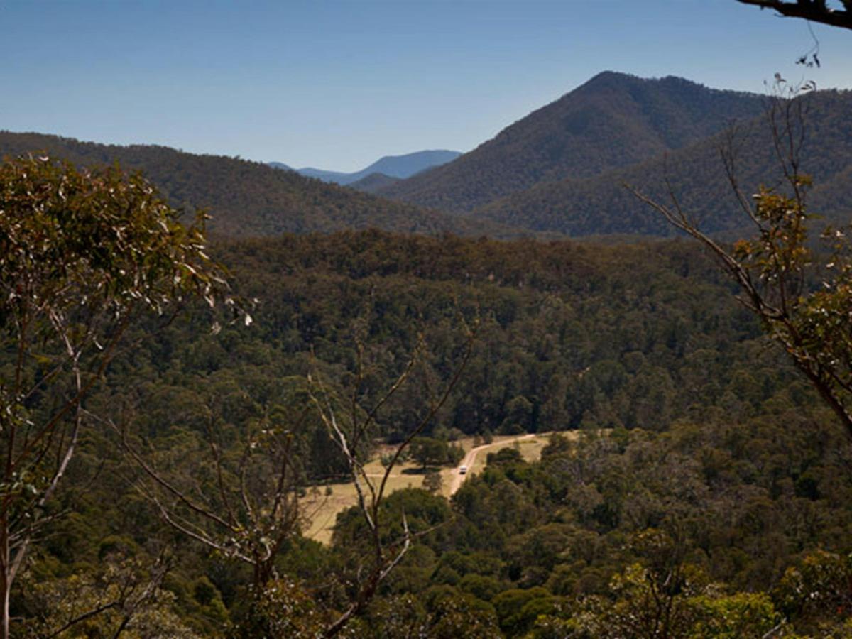 Bendethera Valley campground, Deua National Park. Photo: Lucas Boyd Copyright:NSW Government