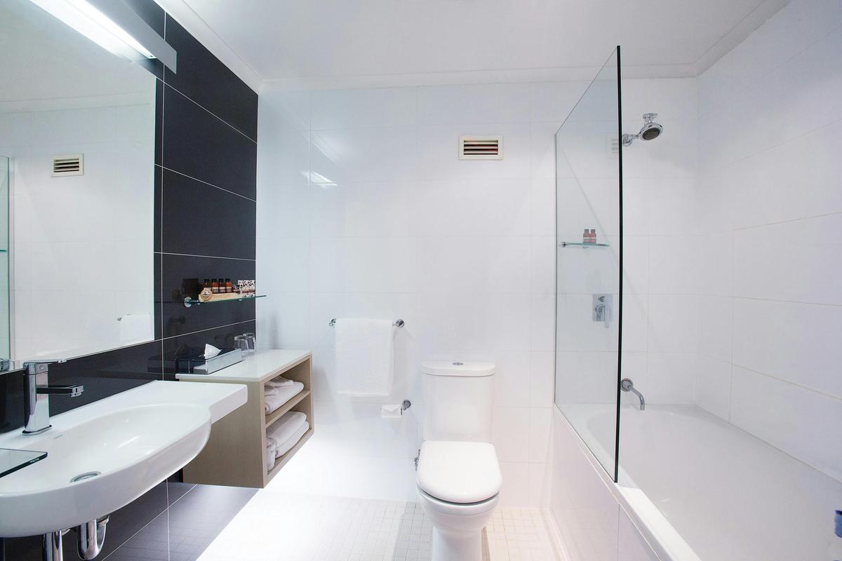 Family Room Bathroom