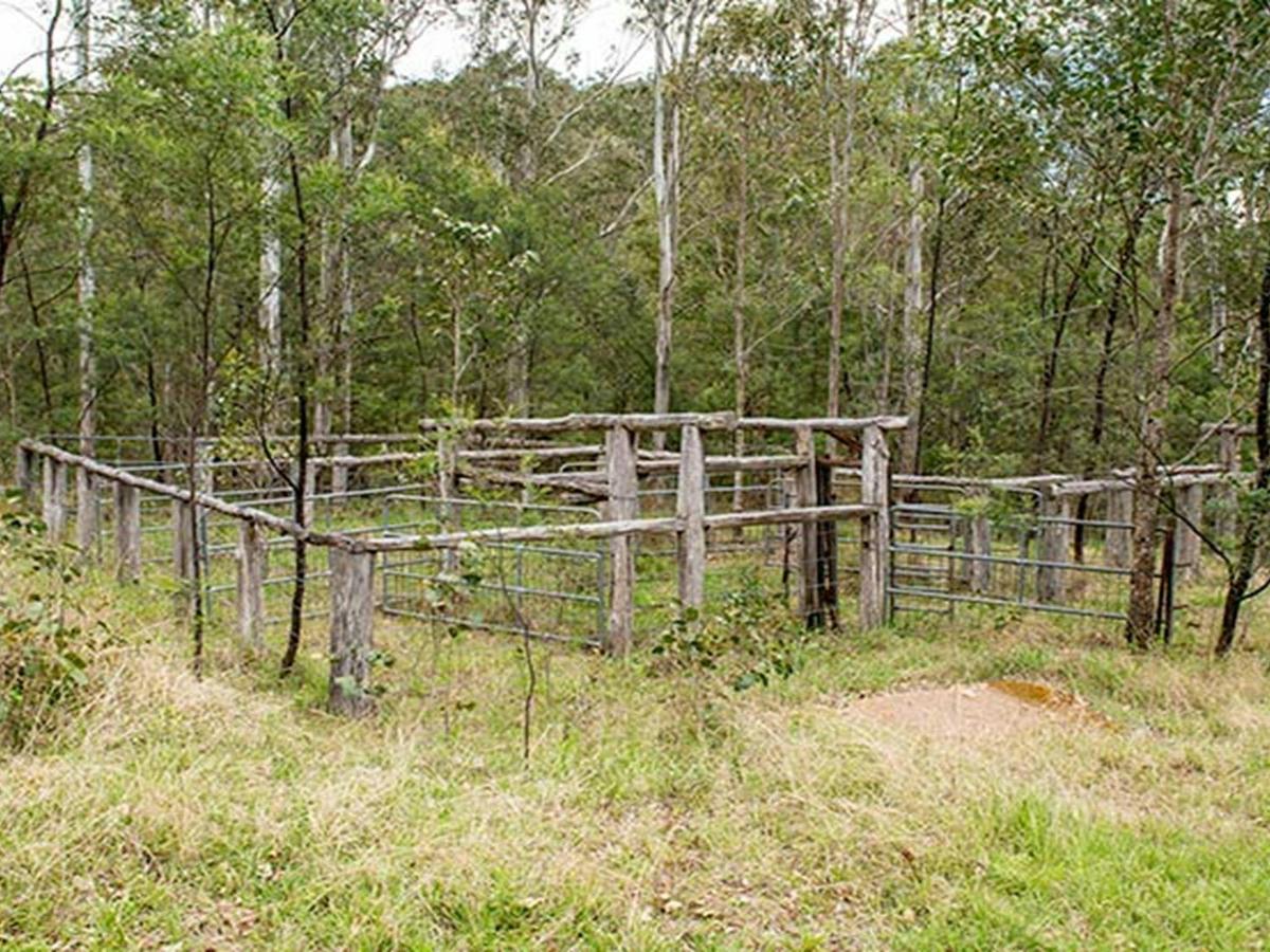 Historic yards at Blue Gums campground, Yengo National Park. Photo: John Spencer/DPIE