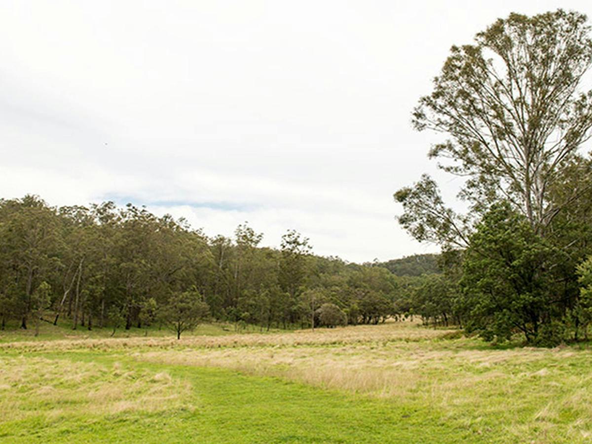 Blue Gums campground, Yengo National Park. Photo: John Spencer/DPIE