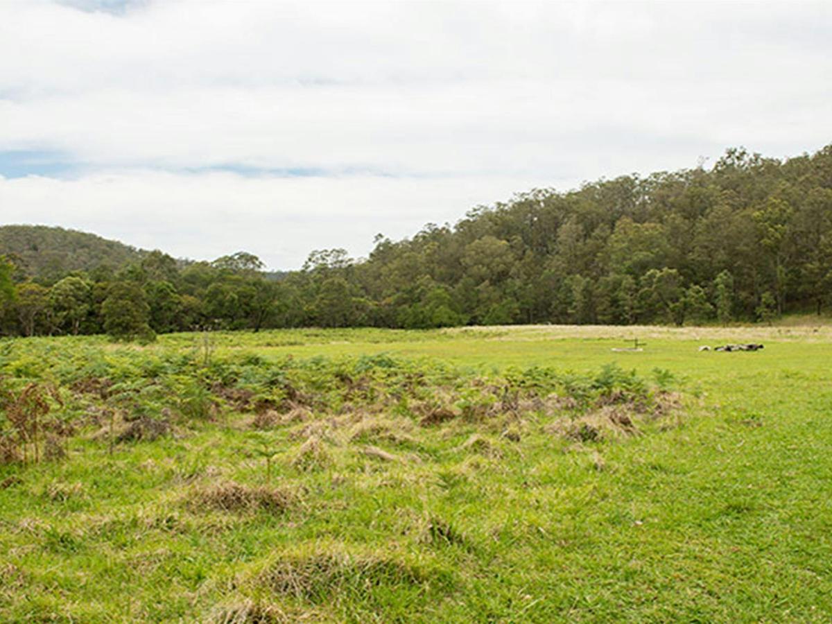Blue Gums campground, Yengo National Park. Photo: John Spencer/DPIE
