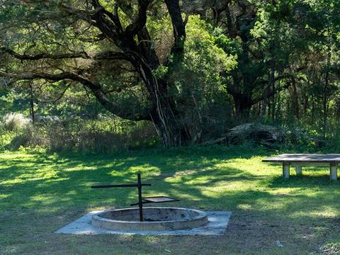 Blue Gums campground