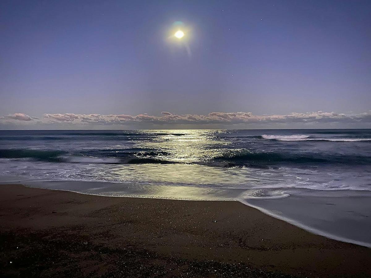 Moon Time - Ocean Shores Holiday Park - Manning Point